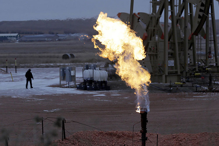 Habeck: Bir gaz krizinin ortasındayız