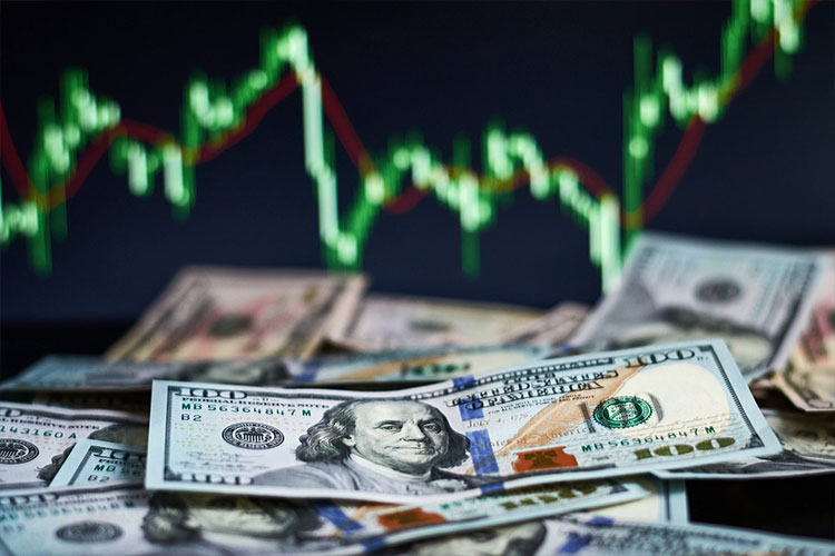 Dünyaca ünlü ekonomistten yorum! Dolar 7 lira birden düşecek